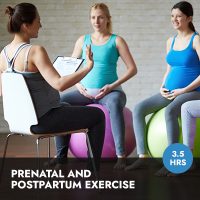 Online Course | Prenatal and Postpartum Exercise